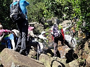 P8170017.JPG (339776 bytes)
