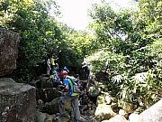 P8170037.JPG (357529 bytes)