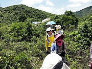 P8170097.JPG (362321 bytes)