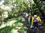 P8240060.JPG (335054 bytes)