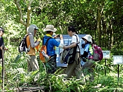 P8240069.JPG (352688 bytes)