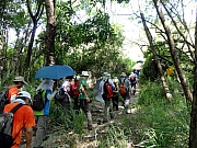 P8310020.JPG (343757 bytes)