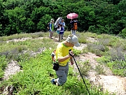 P8310025.JPG (356401 bytes)
