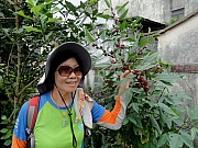 P8310084.JPG (253586 bytes)