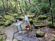 P9070006.JPG (294685 bytes)