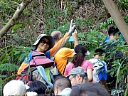 P9210036.JPG (263341 bytes)