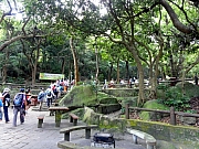 P9280011.JPG (329236 bytes)