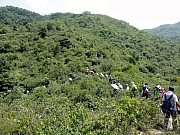 PA050041.JPG (351998 bytes)