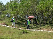 PA050077.JPG (388871 bytes)