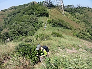 PA120039.JPG (377526 bytes)