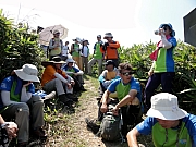 PA120071.JPG (234269 bytes)