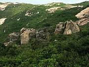 PA190029.JPG (290836 bytes)