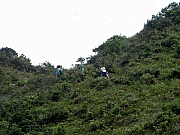 PA260032.JPG (211132 bytes)