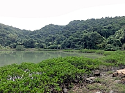 PB090003.JPG (244854 bytes)
