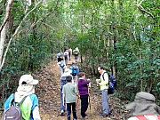 PB090076.JPG (290877 bytes)