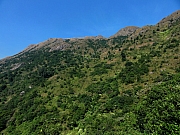 PB160034.JPG (260183 bytes)