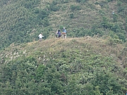 PB230042.JPG (242964 bytes)