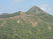 PB230078.JPG (177454 bytes)