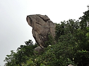 PB300028.JPG (174880 bytes)