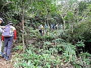 PB300089.JPG (413943 bytes)