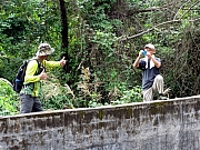 PB300103.JPG (315019 bytes)