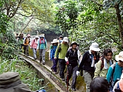 PB300109.JPG (303580 bytes)