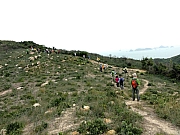 PC070013.JPG (204347 bytes)