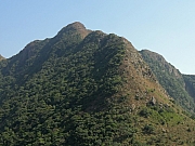 PC140055.JPG (187059 bytes)