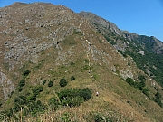 PC140082.JPG (278132 bytes)