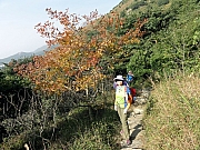 PC140104.JPG (404061 bytes)