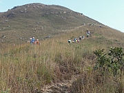 PC210006.JPG (231583 bytes)