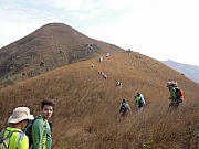 PC210016.JPG (156098 bytes)