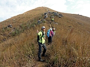 PC210022.JPG (253795 bytes)