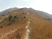 PC210035.JPG (221942 bytes)