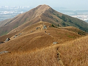 PC210036.JPG (222389 bytes)