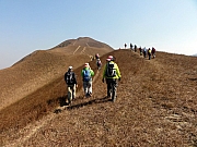 PC210052.JPG (244167 bytes)