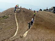 PC210053.JPG (260660 bytes)