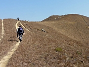 PC210061.JPG (251177 bytes)