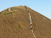 PC210064.JPG (234961 bytes)