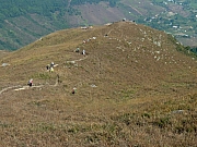 PC210069.JPG (261974 bytes)