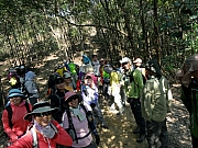 PC210070.JPG (334544 bytes)