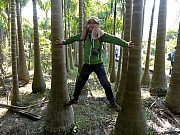 PC210076.JPG (276109 bytes)