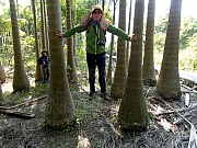 PC210077.JPG (298506 bytes)