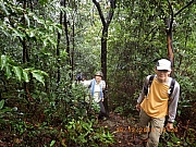 pic_Wai_017.JPG (353791 bytes)