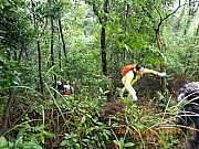 pic_Wai_019.JPG (383767 bytes)