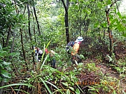 pic_Wai_020.JPG (371458 bytes)