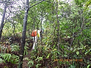 pic_Wai_021.JPG (384849 bytes)
