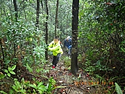 pic_Wai_025.JPG (332643 bytes)