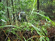 pic_Wai_030.JPG (326433 bytes)
