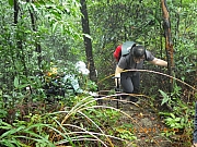 pic_Wai_031.JPG (311272 bytes)